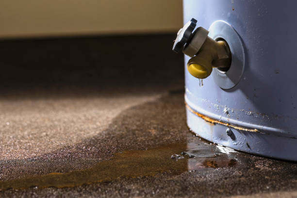Best Water damage cleanup near me  in Westerville, OH