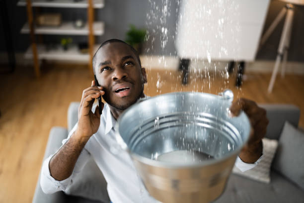Best Water damage contractors near me  in Westerville, OH