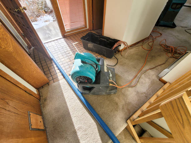Best Water damage repair service  in Westerville, OH