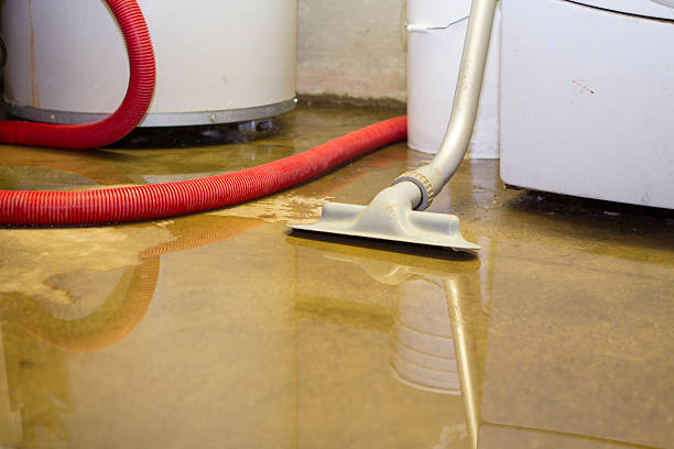 Best Local water damage restoration  in Westerville, OH