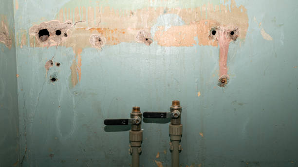 Best Basement water damage restoration  in Westerville, OH