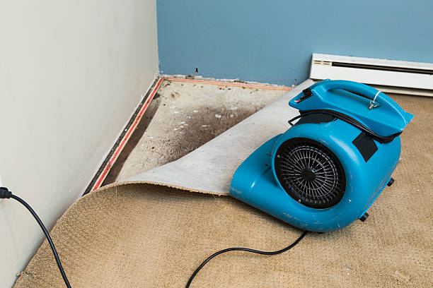 Best 24/7 water damage repair  in Westerville, OH